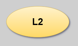 L2 Test Level