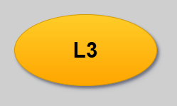 L3 Test Level